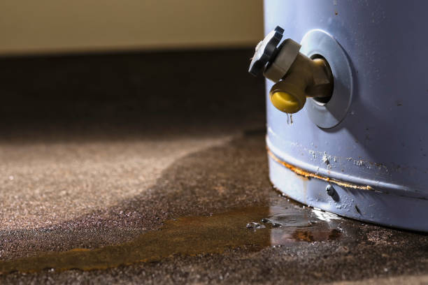 Best Residential water damage restoration  in Vidalia, LA