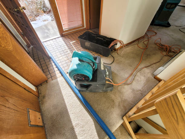 Best Flood restoration services  in Vidalia, LA
