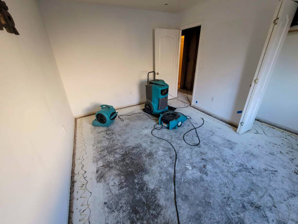 Best Emergency water extraction  in Vidalia, LA