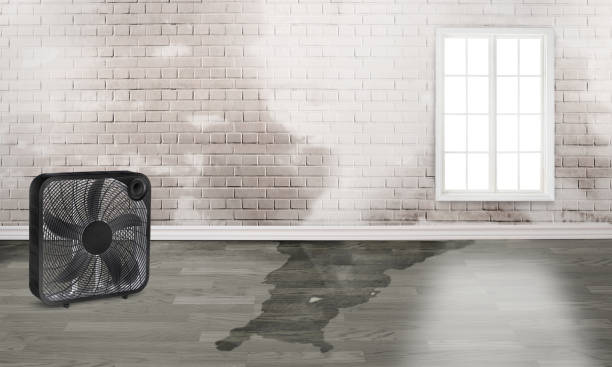  Vidalia, LA Water damage restoration Pros