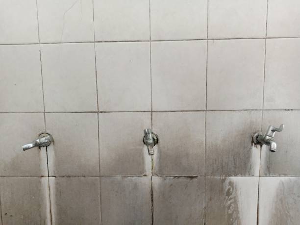 Best Carpet water damage restoration  in Vidalia, LA