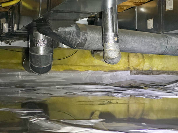 Best Water damage restoration company  in Vidalia, LA
