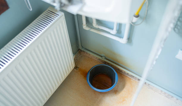 Best Basement water damage restoration  in Vidalia, LA
