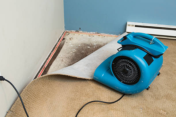 Water damage restoration mold remediation in Vidalia, LA